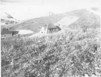0583-William_Thompson