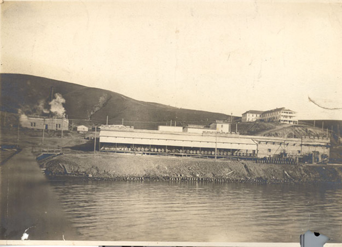 III-4-0352-BB